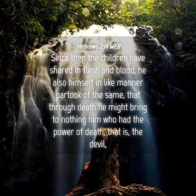 Picture 04 - Hebrews 2:14 WEB - Since then the children have shared in flesh and - Bible Verse Picture