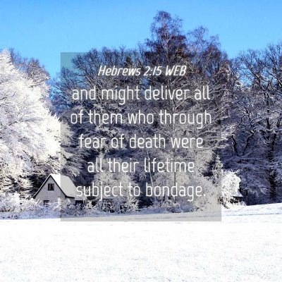 Picture 04 - Hebrews 2:15 WEB - and might deliver all of them who through fear of - Bible Verse Picture