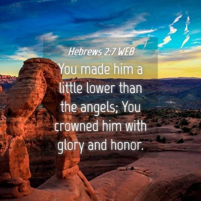 Picture 04 - Hebrews 2:7 WEB - You made him a little lower than the angels; You - Bible Verse Picture
