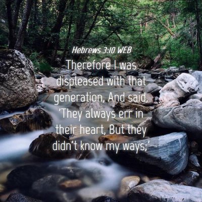 Picture 04 - Hebrews 3:10 WEB - Therefore I was displeased with that generation, - Bible Verse Picture