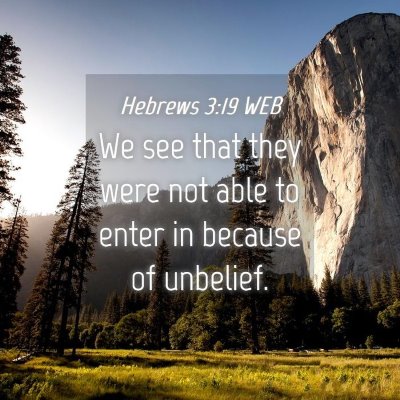 Picture 04 - Hebrews 3:19 WEB - We see that they were not able to enter in - Bible Verse Picture