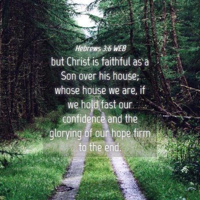 Picture 04 - Hebrews 3:6 WEB - but Christ is faithful as a Son over his house; - Bible Verse Picture