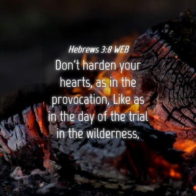 Picture 04 - Hebrews 3:8 WEB - Don't harden your hearts, as in the provocation, - Bible Verse Picture