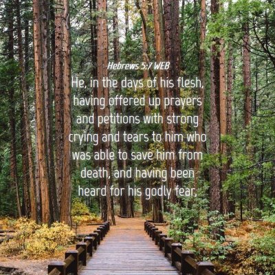 Picture 04 - Hebrews 5:7 WEB - He, in the days of his flesh, having offered up - Bible Verse Picture