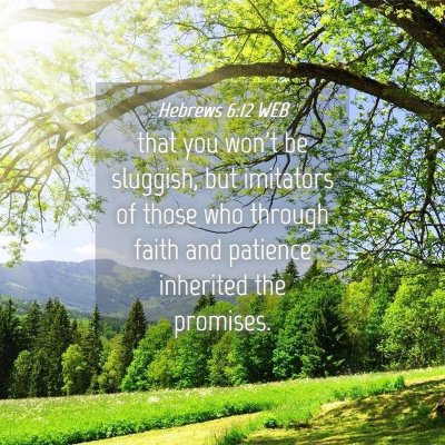 Picture 04 - Hebrews 6:12 WEB - that you won't be sluggish, but imitators of - Bible Verse Picture