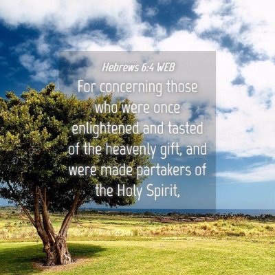 Picture 04 - Hebrews 6:4 WEB - For concerning those who were once enlightened - Bible Verse Picture