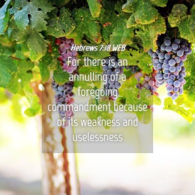 Picture 04 - Hebrews 7:18 WEB - For there is an annulling of a foregoing - Bible Verse Picture