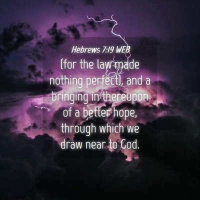 Picture 04 - Hebrews 7:19 WEB - (for the law made nothing perfect), and a - Bible Verse Picture