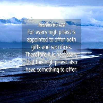 Picture 04 - Hebrews 8:3 WEB - For every high priest is appointed to offer both - Bible Verse Picture