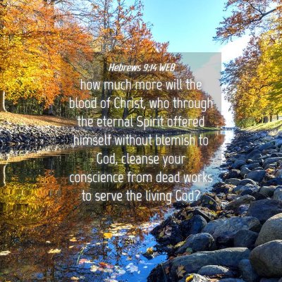 Picture 04 - Hebrews 9:14 WEB - how much more will the blood of Christ, who - Bible Verse Picture