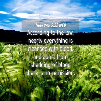 Picture 04 - Hebrews 9:22 WEB - According to the law, nearly everything is - Bible Verse Picture