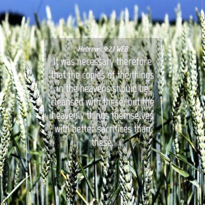 Picture 04 - Hebrews 9:23 WEB - It was necessary therefore that the copies of the - Bible Verse Picture