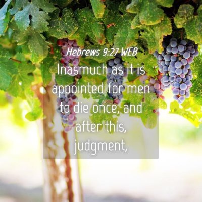Picture 04 - Hebrews 9:27 WEB - Inasmuch as it is appointed for men to die once, - Bible Verse Picture