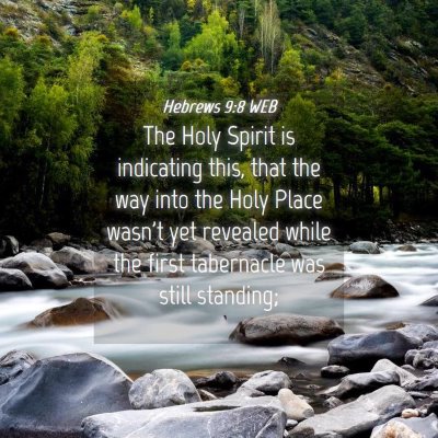 Picture 04 - Hebrews 9:8 WEB - The Holy Spirit is indicating this, that the way - Bible Verse Picture