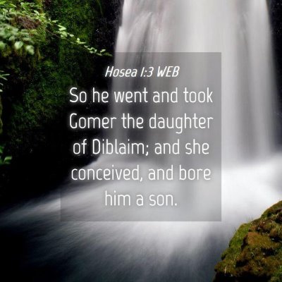 Picture 04 - Hosea 1:3 WEB - So he went and took Gomer the daughter of - Bible Verse Picture