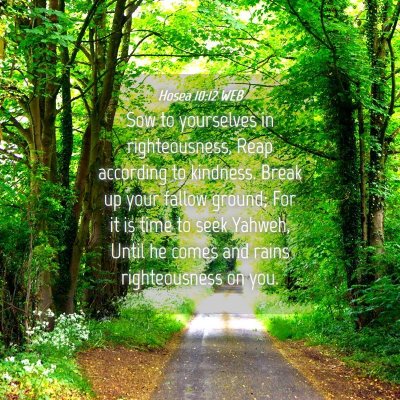 Picture 04 - Hosea 10:12 WEB - Sow to yourselves in righteousness, Reap - Bible Verse Picture