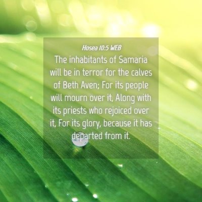 Picture 04 - Hosea 10:5 WEB - The inhabitants of Samaria will be in terror for - Bible Verse Picture