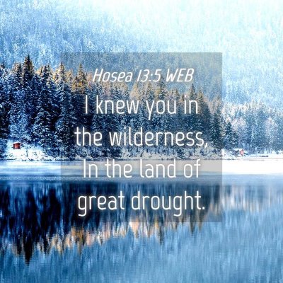 Picture 04 - Hosea 13:5 WEB - I knew you in the wilderness, In the land of - Bible Verse Picture