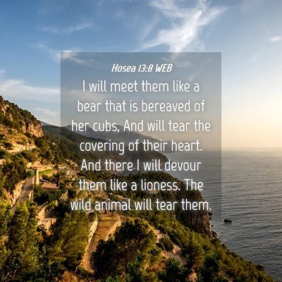 Picture 04 - Hosea 13:8 WEB - I will meet them like a bear that is bereaved of - Bible Verse Picture