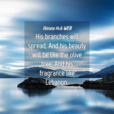 Picture 04 - Hosea 14:6 WEB - His branches will spread, And his beauty will be - Bible Verse Picture