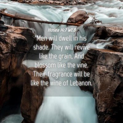 Picture 04 - Hosea 14:7 WEB - Men will dwell in his shade. They will revive - Bible Verse Picture