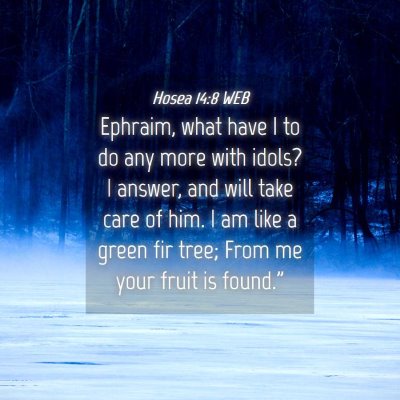 Picture 04 - Hosea 14:8 WEB - Ephraim, what have I to do any more with idols? I - Bible Verse Picture