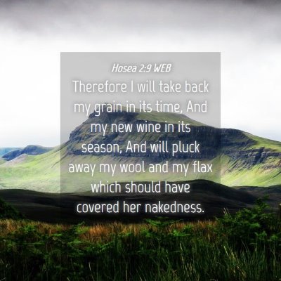 Picture 04 - Hosea 2:9 WEB - Therefore I will take back my grain in its time, - Bible Verse Picture