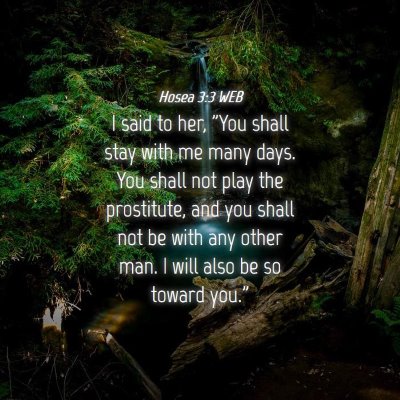Picture 04 - Hosea 3:3 WEB - I said to her, 