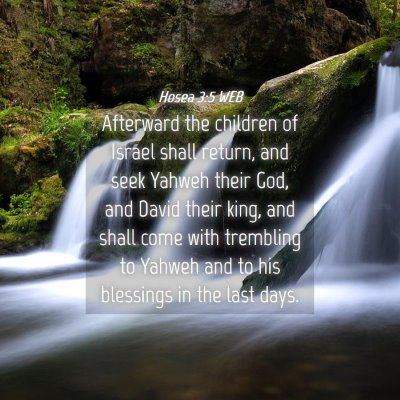 Picture 04 - Hosea 3:5 WEB - Afterward the children of Israel shall return, - Bible Verse Picture