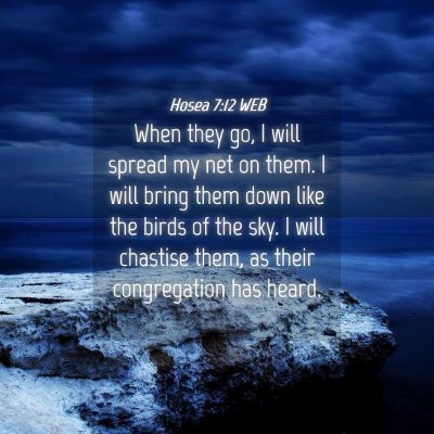Picture 04 - Hosea 7:12 WEB - When they go, I will spread my net on them. I - Bible Verse Picture