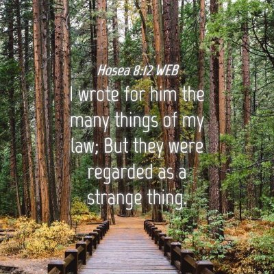 Picture 04 - Hosea 8:12 WEB - I wrote for him the many things of my law; But - Bible Verse Picture