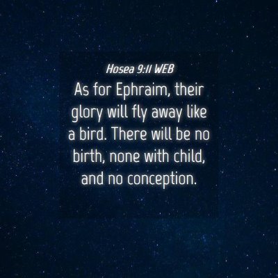 Picture 04 - Hosea 9:11 WEB - As for Ephraim, their glory will fly away like a - Bible Verse Picture