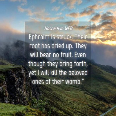 Picture 04 - Hosea 9:16 WEB - Ephraim is struck. Their root has dried up. They - Bible Verse Picture