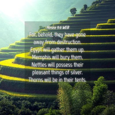 Picture 04 - Hosea 9:6 WEB - For, behold, they have gone away from - Bible Verse Picture