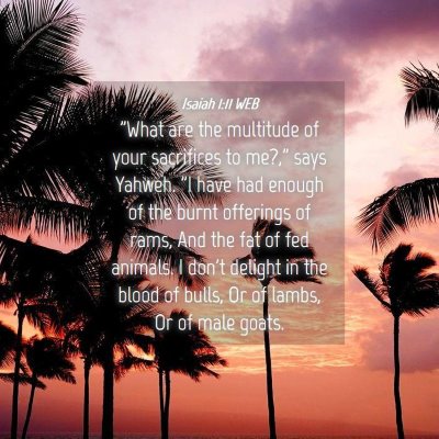 Picture 04 - Isaiah 1:11 WEB - 