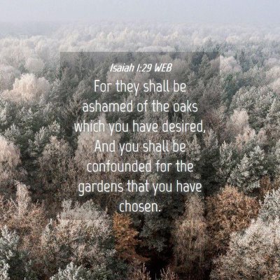 Picture 04 - Isaiah 1:29 WEB - For they shall be ashamed of the oaks which you - Bible Verse Picture
