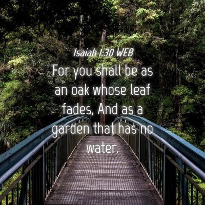 Picture 04 - Isaiah 1:30 WEB - For you shall be as an oak whose leaf fades, And - Bible Verse Picture