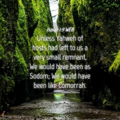 Picture 04 - Isaiah 1:9 WEB - Unless Yahweh of hosts had left to us a very - Bible Verse Picture