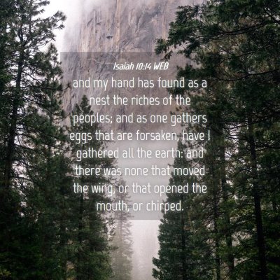 Picture 04 - Isaiah 10:14 WEB - and my hand has found as a nest the riches of the - Bible Verse Picture