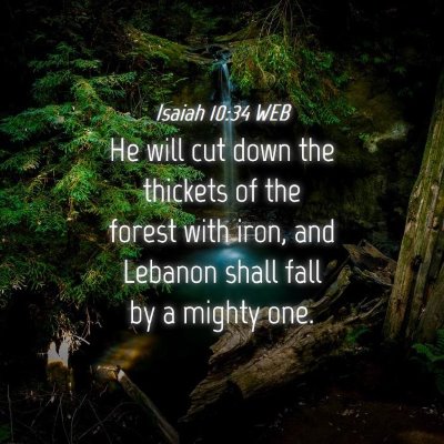 Picture 04 - Isaiah 10:34 WEB - He will cut down the thickets of the forest with - Bible Verse Picture