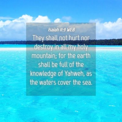 Picture 04 - Isaiah 11:9 WEB - They shall not hurt nor destroy in all my holy - Bible Verse Picture