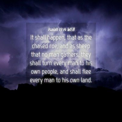 Picture 04 - Isaiah 13:14 WEB - It shall happen, that as the chased roe, and as - Bible Verse Picture