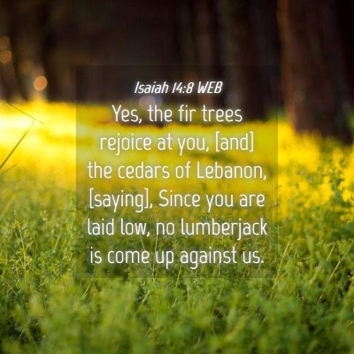 Picture 04 - Isaiah 14:8 WEB - Yes, the fir trees rejoice at you, [and] the - Bible Verse Picture