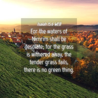 Picture 04 - Isaiah 15:6 WEB - For the waters of Nimrim shall be desolate; for - Bible Verse Picture
