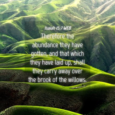 Picture 04 - Isaiah 15:7 WEB - Therefore the abundance they have gotten, and - Bible Verse Picture