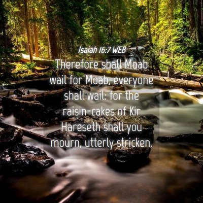 Picture 04 - Isaiah 16:7 WEB - Therefore shall Moab wail for Moab, everyone - Bible Verse Picture