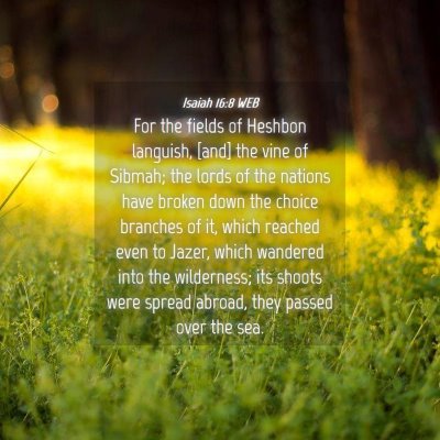 Picture 04 - Isaiah 16:8 WEB - For the fields of Heshbon languish, [and] the - Bible Verse Picture