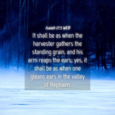 Picture 04 - Isaiah 17:5 WEB - It shall be as when the harvester gathers the - Bible Verse Picture