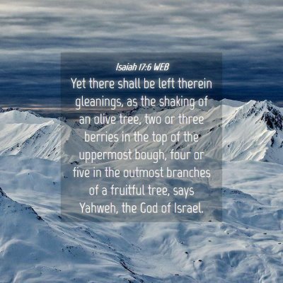 Picture 04 - Isaiah 17:6 WEB - Yet there shall be left therein gleanings, as the - Bible Verse Picture
