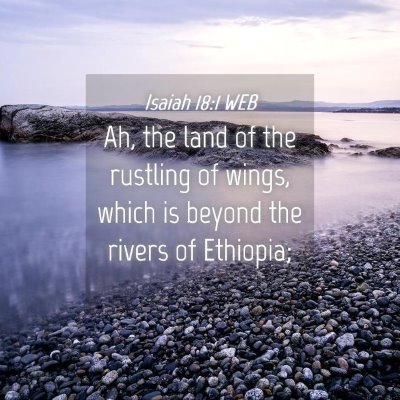 Picture 04 - Isaiah 18:1 WEB - Ah, the land of the rustling of wings, which is - Bible Verse Picture